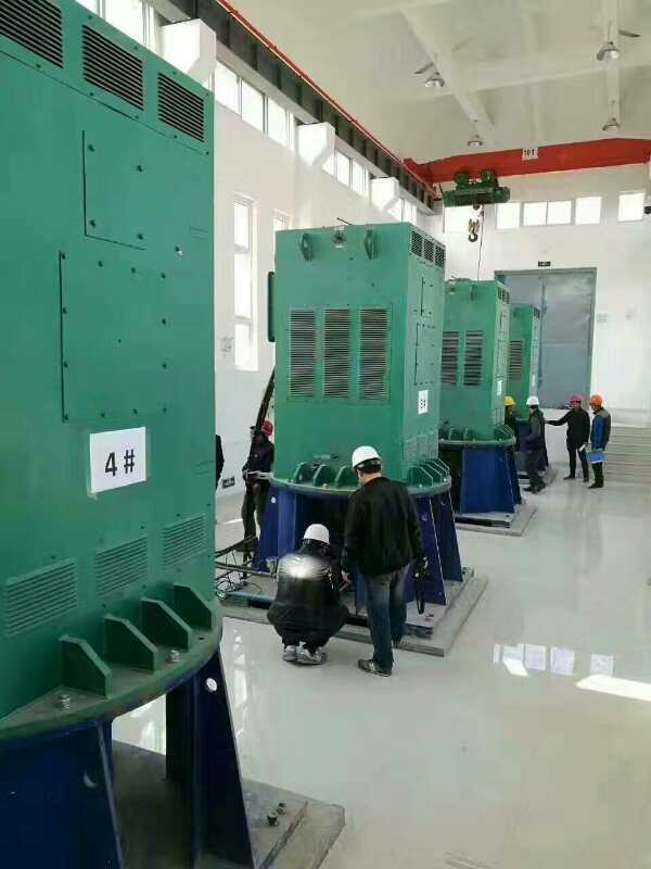 巴彦淖尔某污水处理厂使用我厂的立式高压电机安装现场